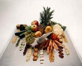 A variety of fruits and vegetables can be processed on Sandvik dehydration equipment.